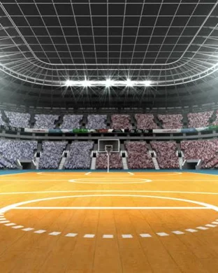 LSU Tigers vs. Tennessee Volunteers